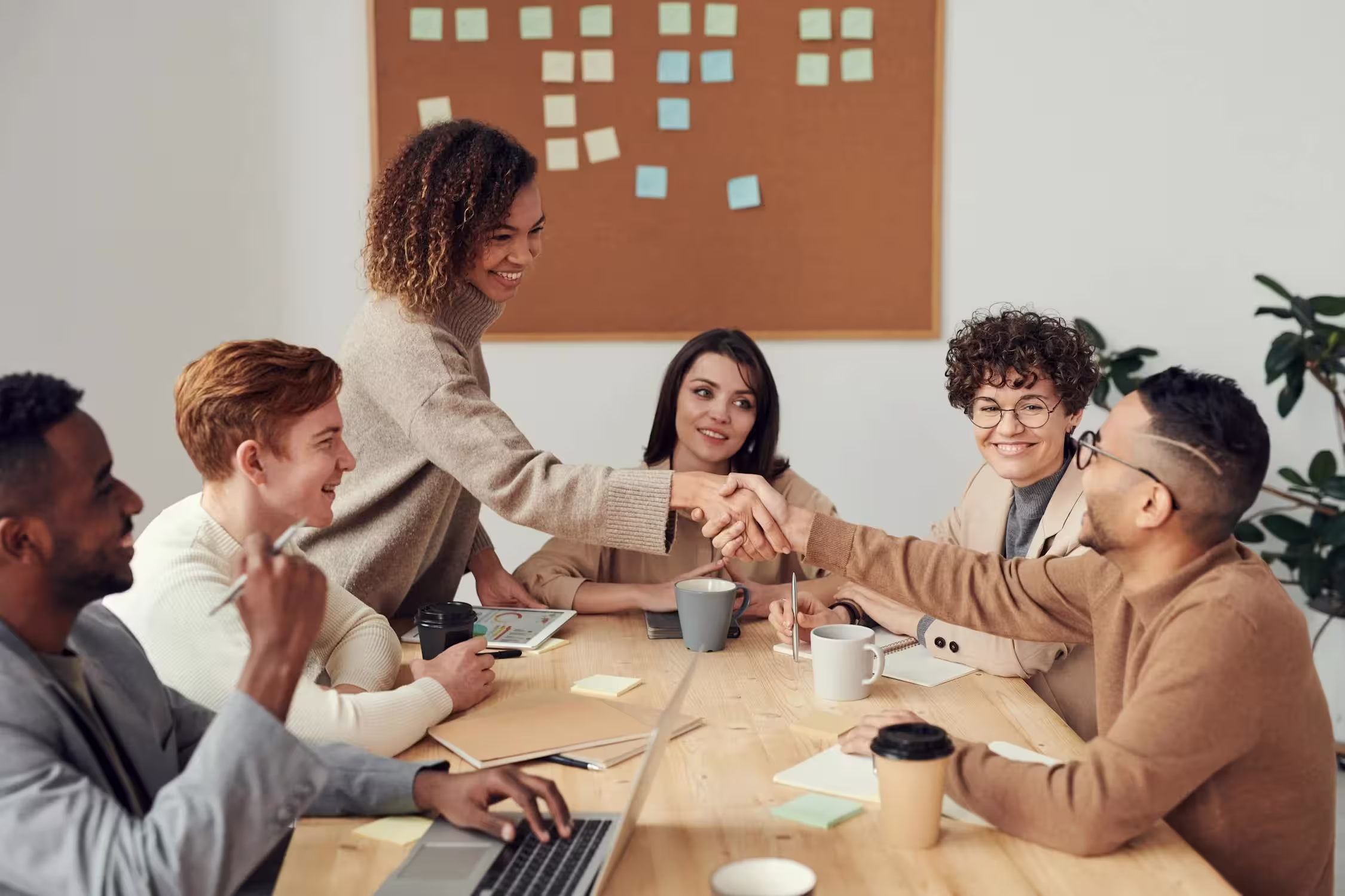 People working together in a homely office environment
